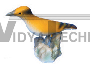 The model of emulation oriole